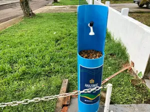 Pias comunitárias  (1)